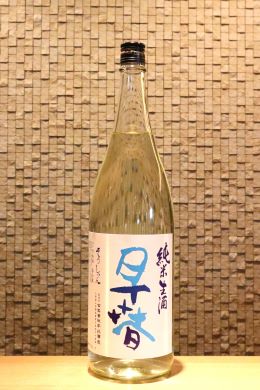 早春 純米生酒 1800ml
