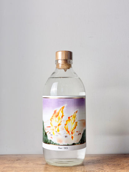 ［+innovative］ Flare
