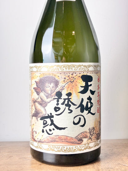 天使の誘惑 芋焼酎40度