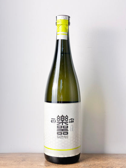 楽器正宗 FUZZY GREEN 酒未来 純米大吟醸